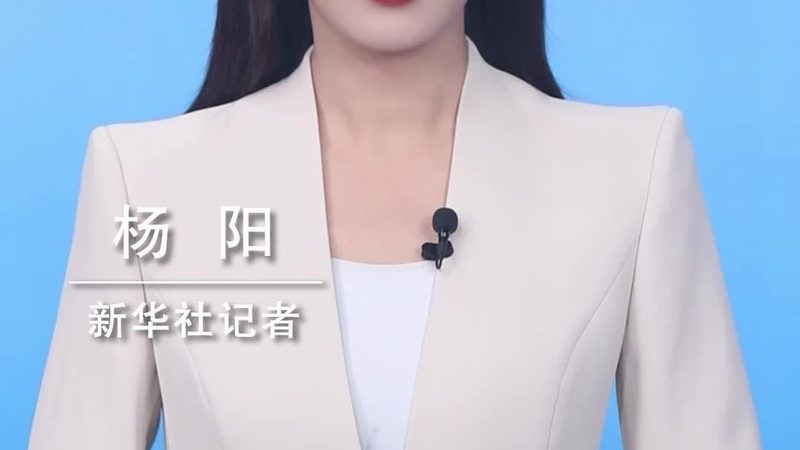 OA协同办公，功能对比解析：选择与优化之道